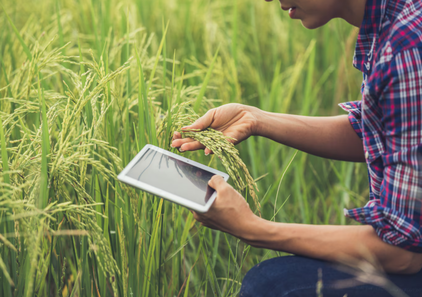 5 ways agritech can fuel real growth in India’s aspirational blocks