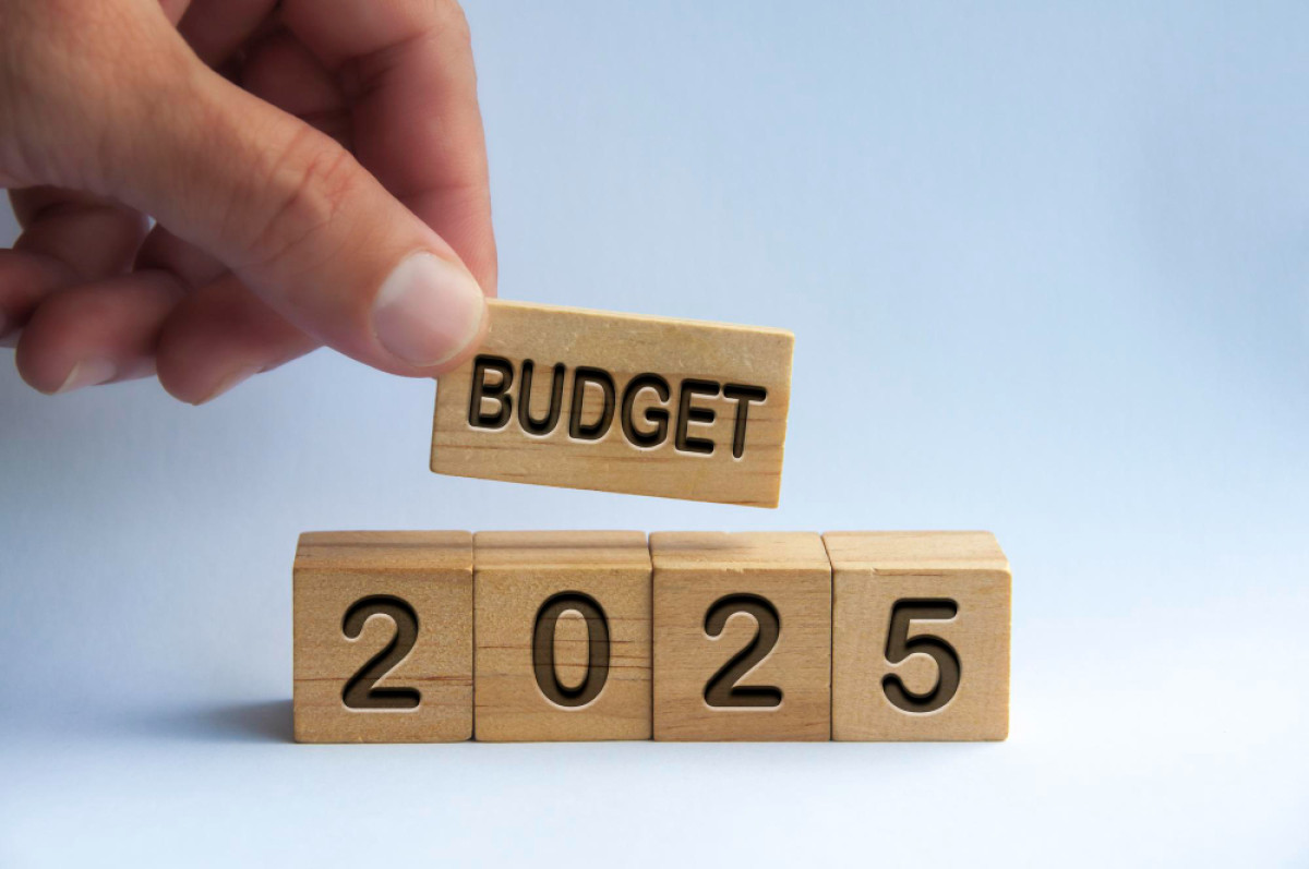 Budget 2025: Experts predict impact on small savings schemes PPF, NSC