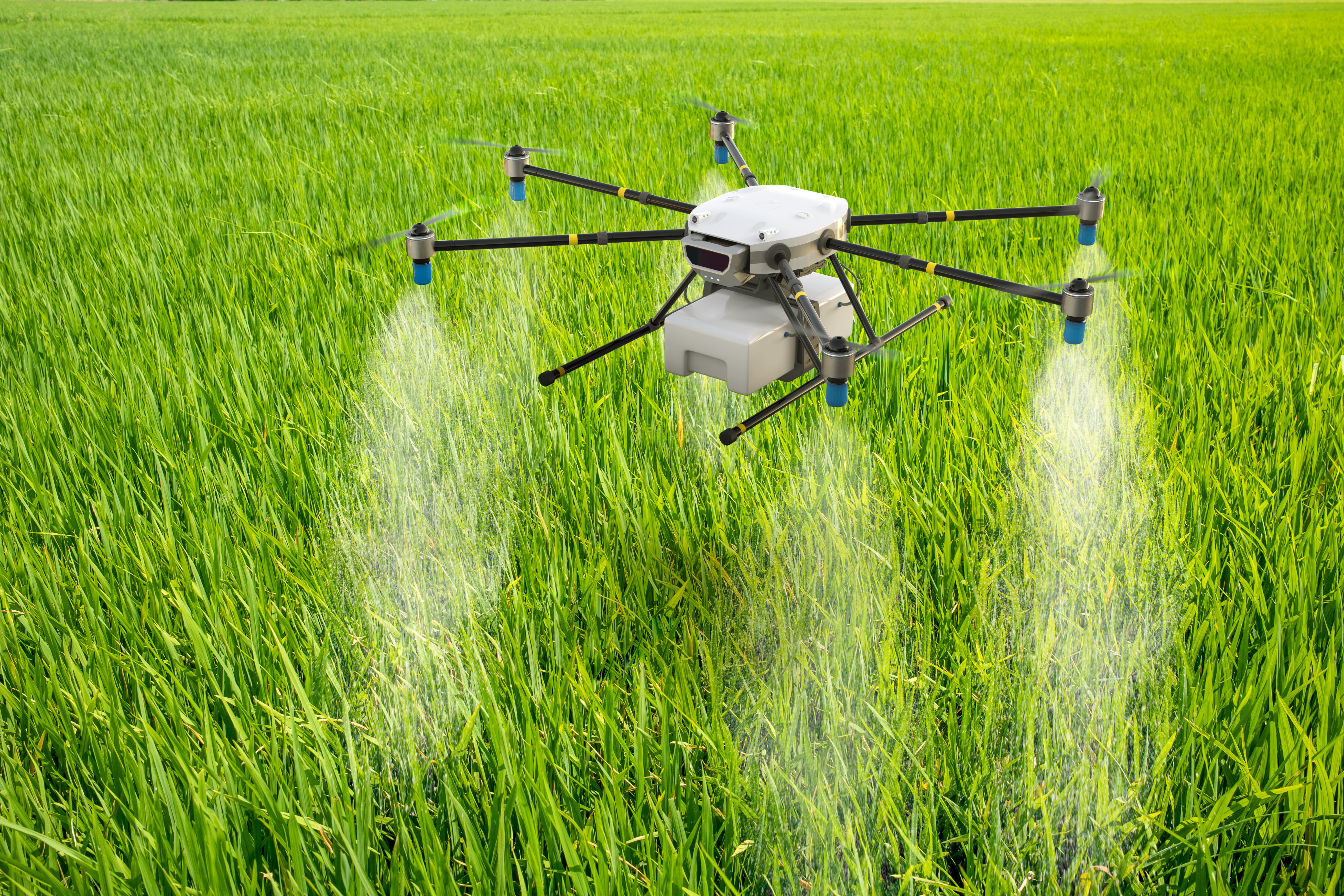 Primus Partners suggests policy interventions for AI adoption in Indian agriculture