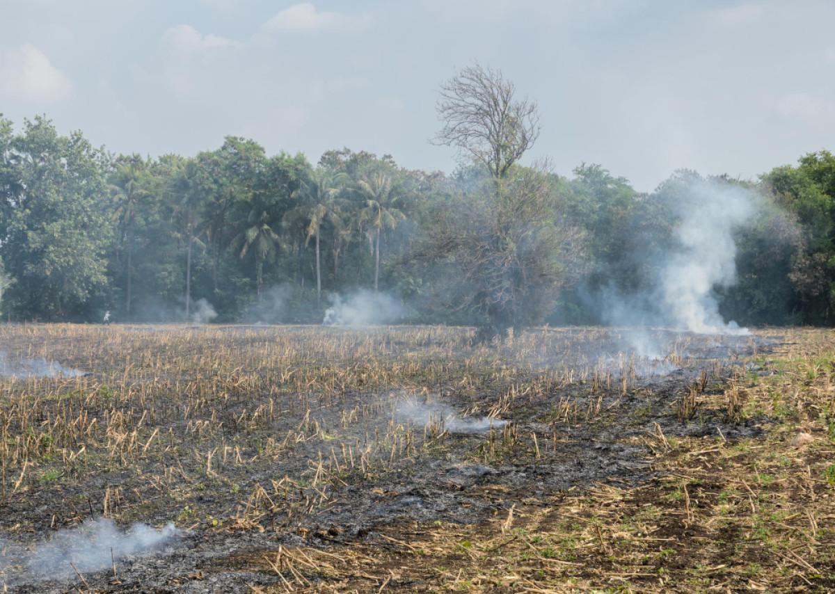 Winter is coming Is Stubble Burning, too?