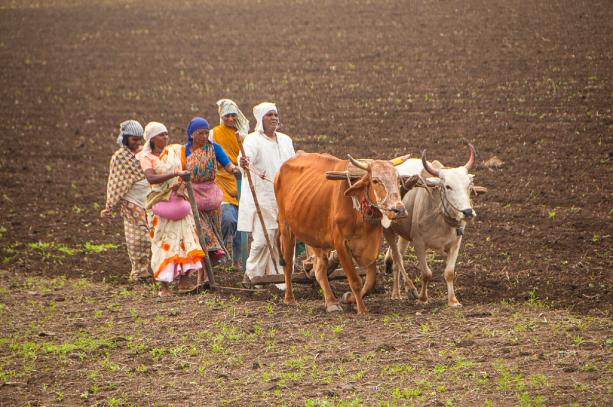 Farm sector hails forward looking budget, Tikait calls it 'empty-handed'