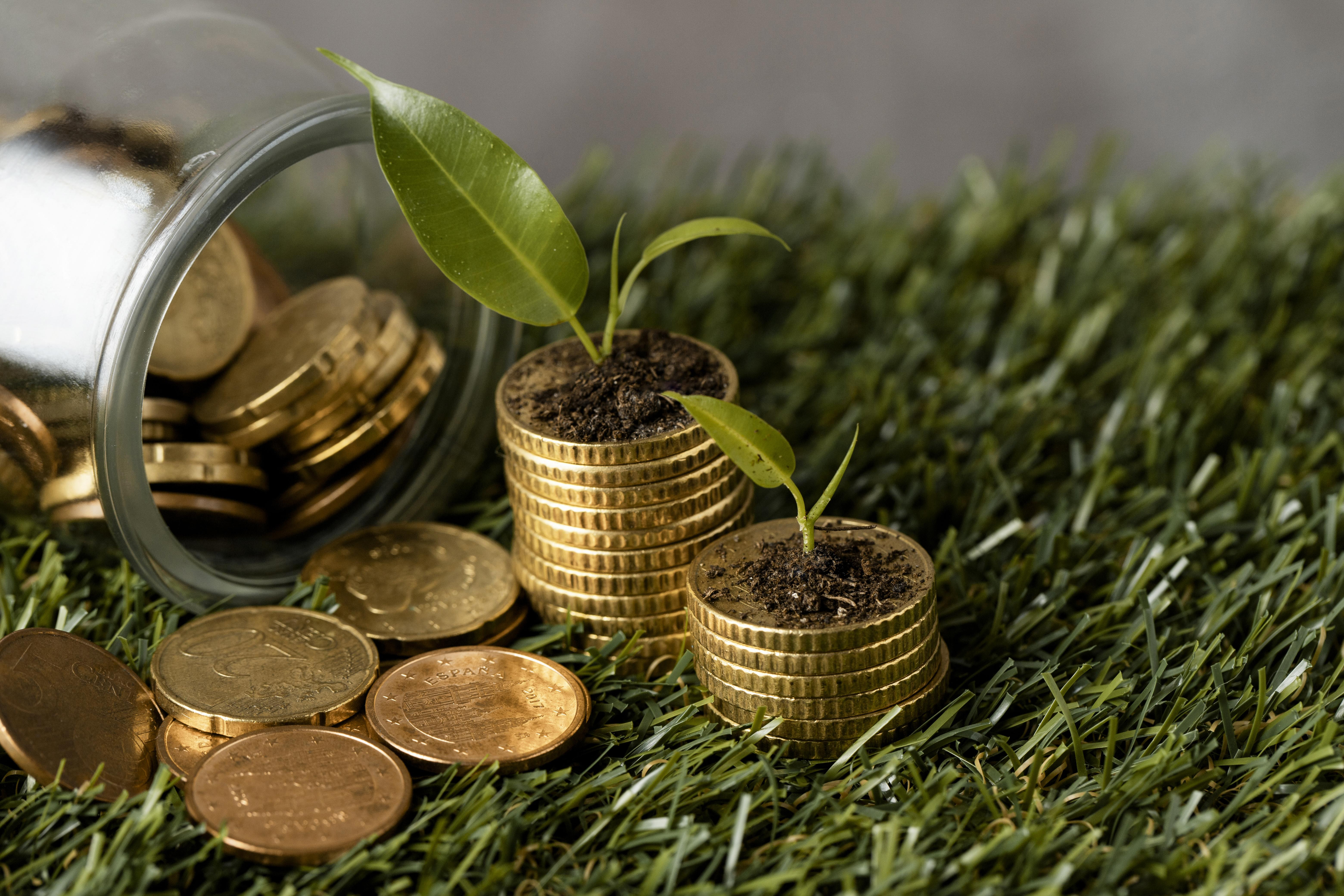 Raising Green Capital